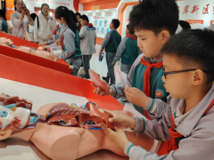 紅十字應急救護培訓基地體驗館有有哪些設備？